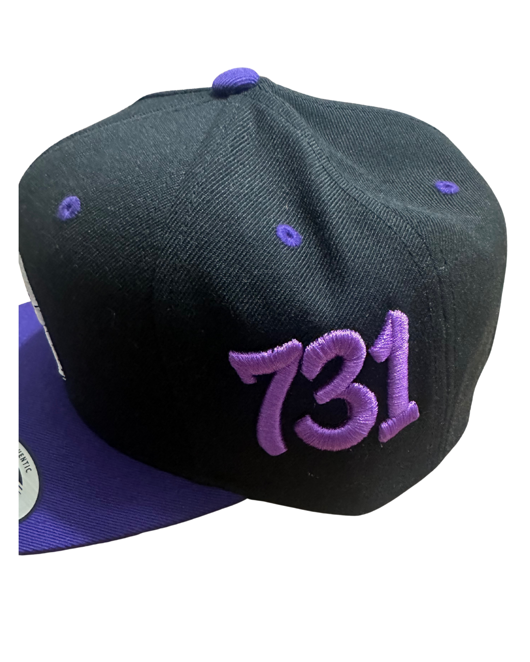 Ripley Tigers 731 Snapback – Black & Purple 3D Puff Embroidered Hat