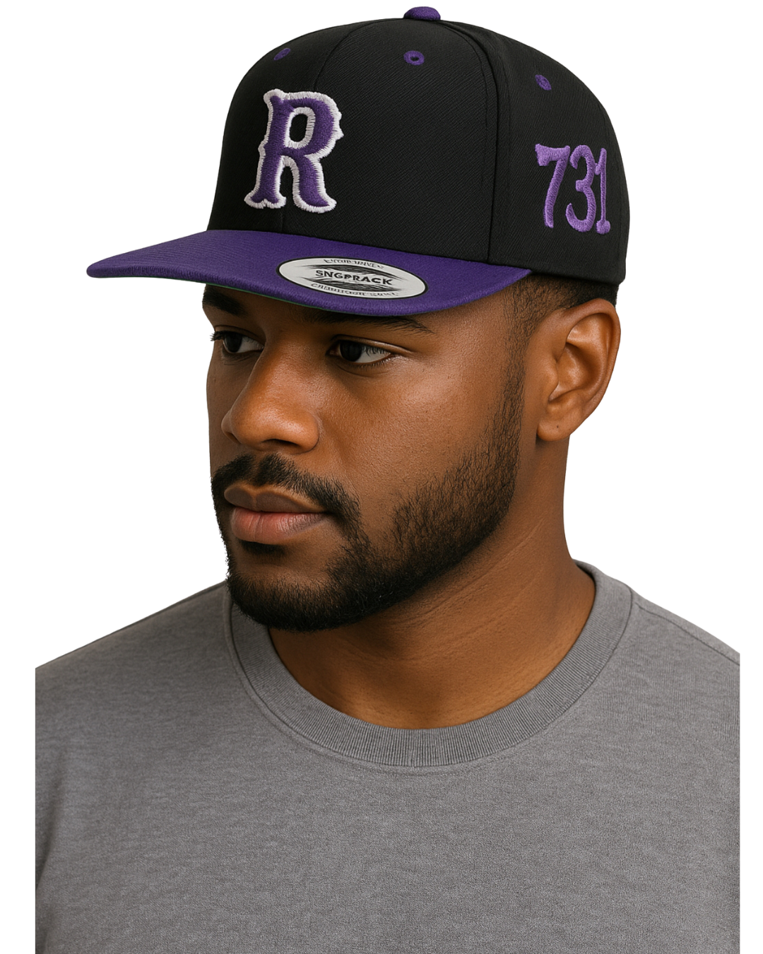 Ripley Tigers 731 Snapback – Black & Purple 3D Puff Embroidered Hat