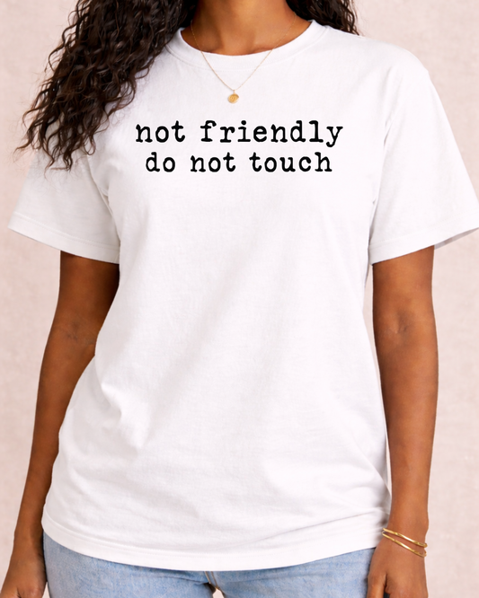 Not Friendly Do Not Touch Sarcastic T -  Comfort Color C1717 Graphic T shirt