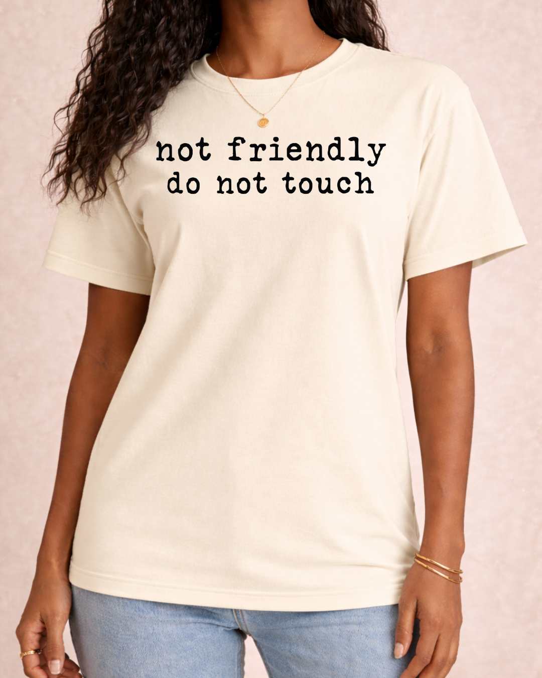 Not Friendly Do Not Touch Sarcastic T -  Comfort Color C1717 Graphic T shirt