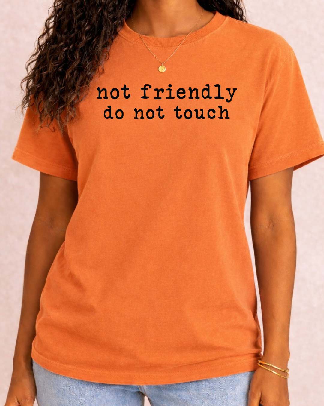 Not Friendly Do Not Touch Sarcastic T -  Comfort Color C1717 Graphic T shirt