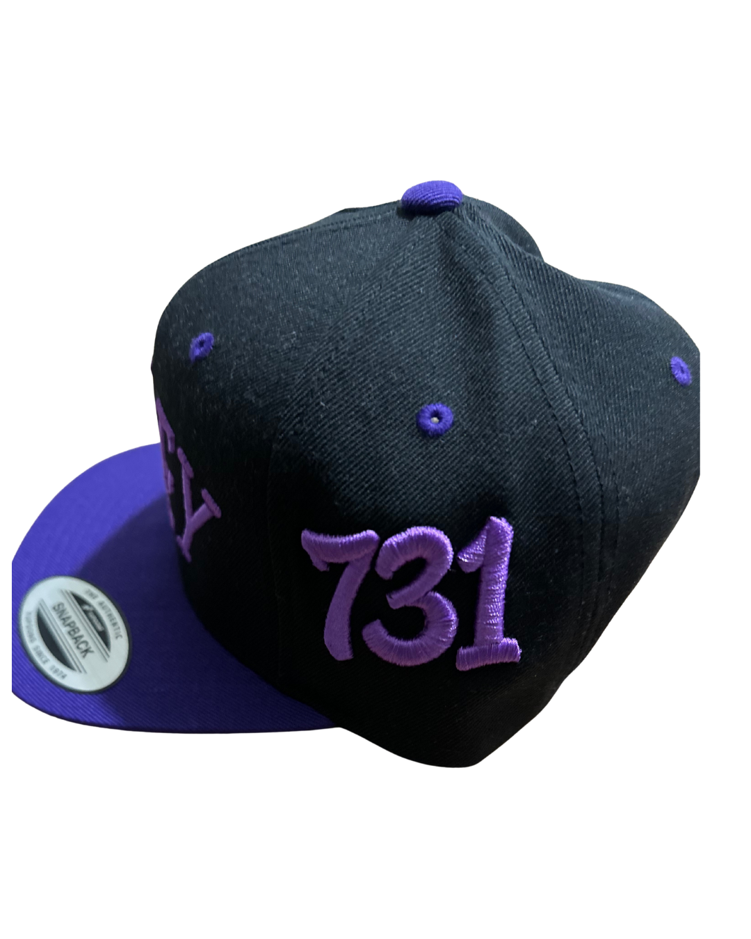 Ripley Tigers Embroidered Hat w/ 731