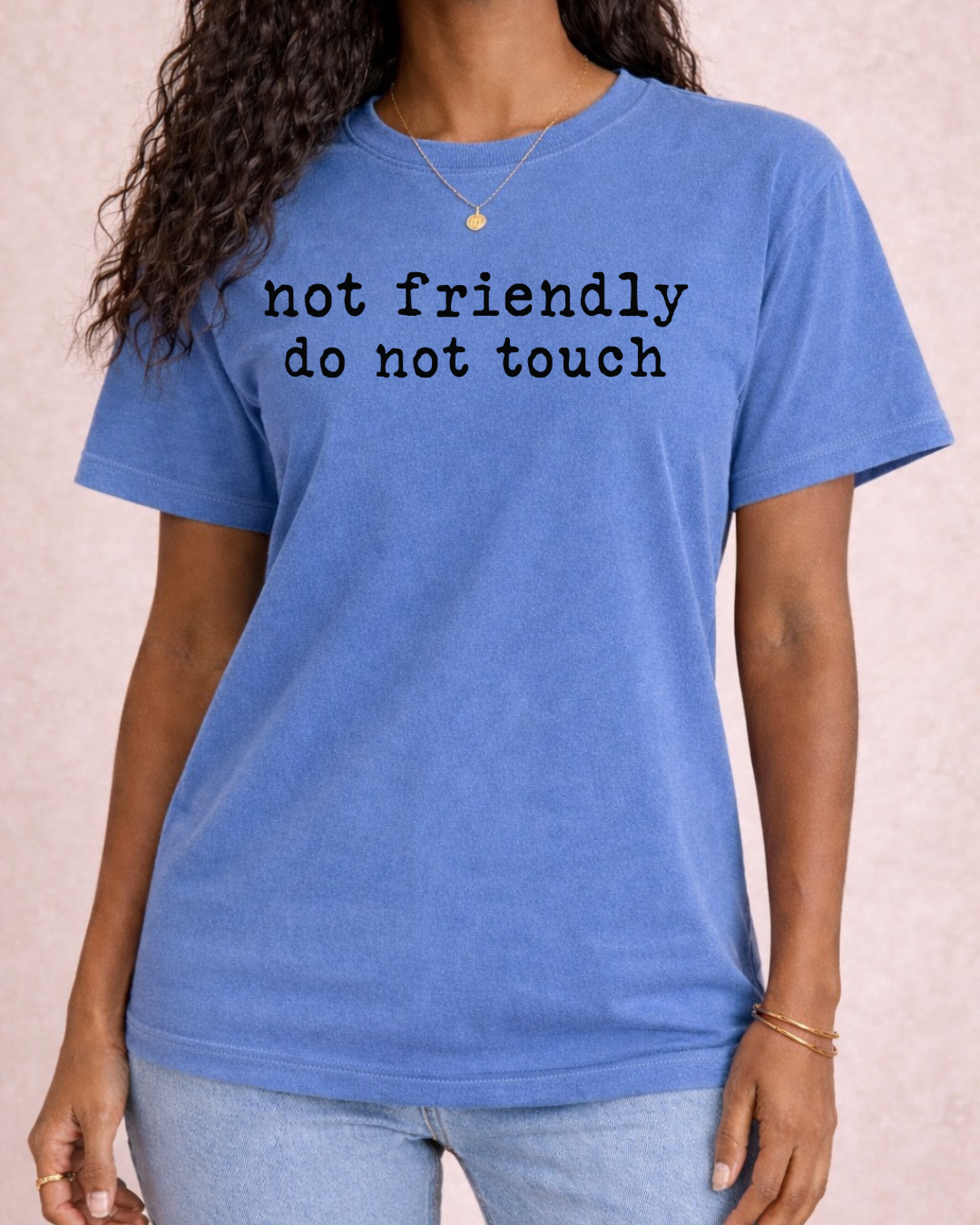 Not Friendly Do Not Touch Sarcastic T -  Comfort Color C1717 Graphic T shirt