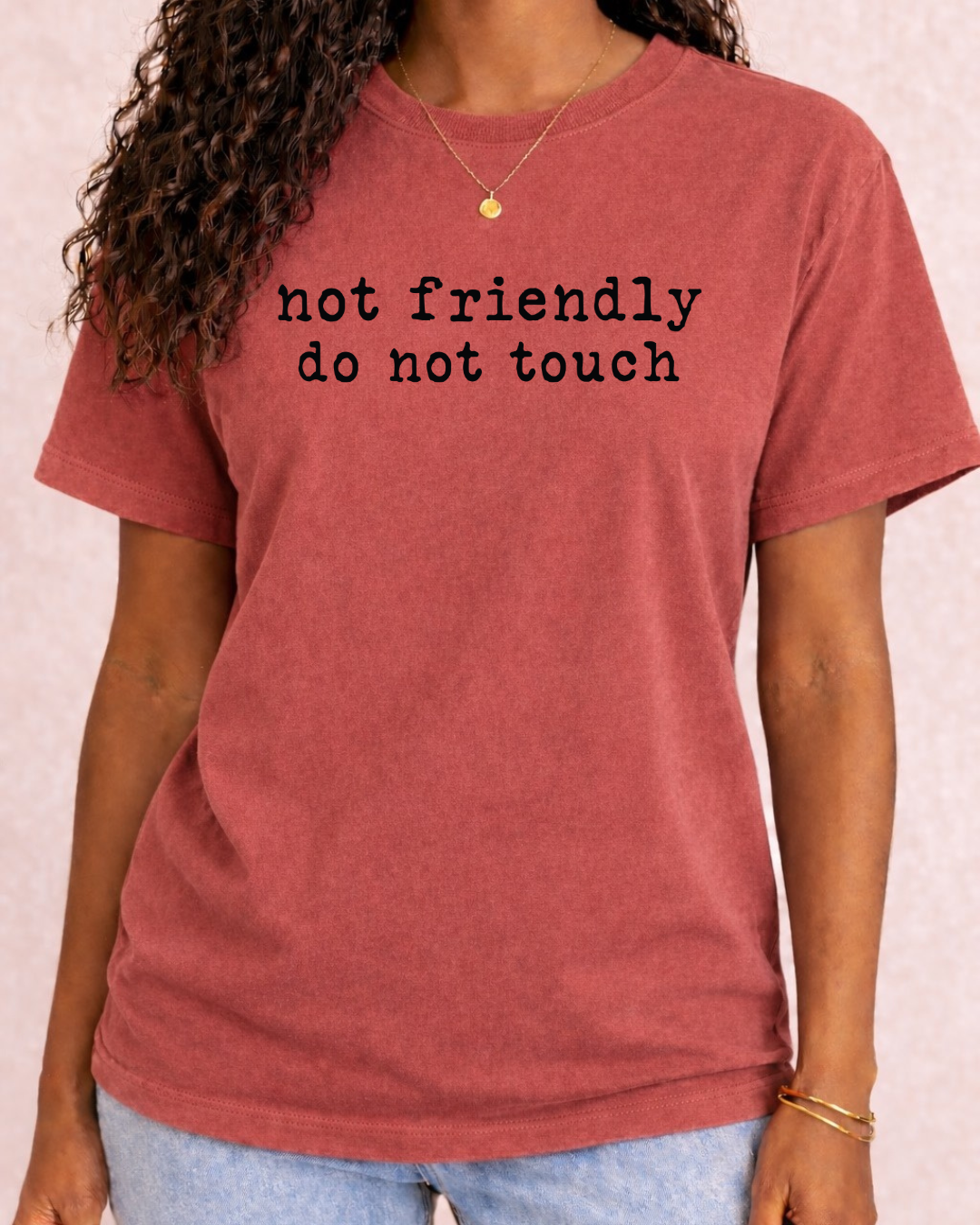 Not Friendly Do Not Touch Sarcastic T -  Comfort Color C1717 Graphic T shirt