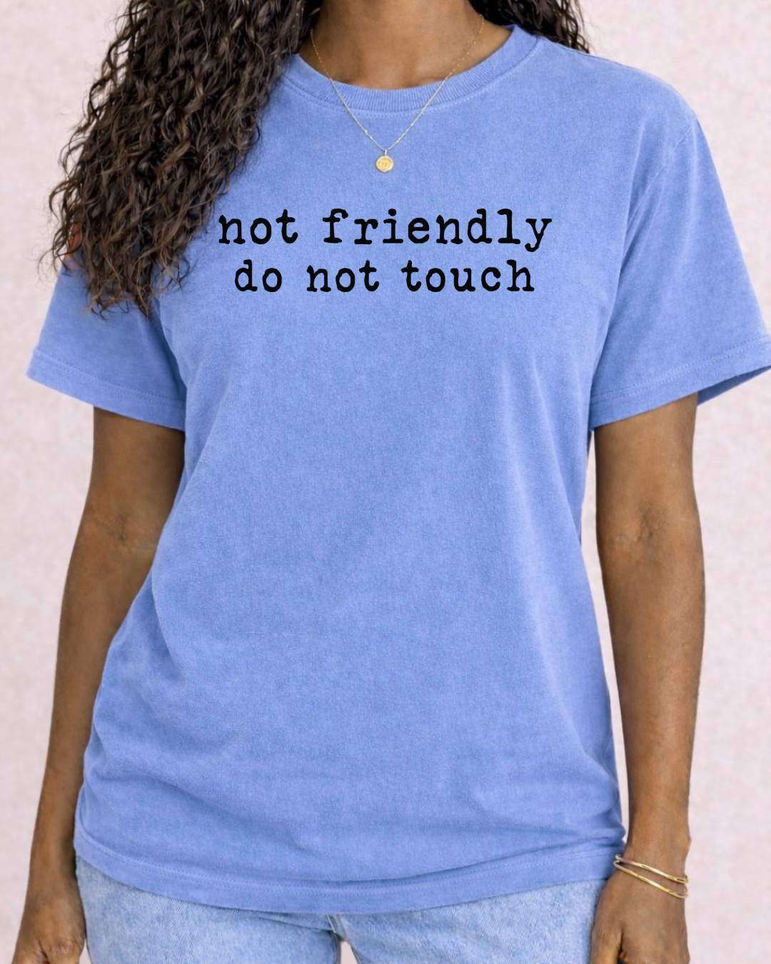 Not Friendly Do Not Touch Sarcastic T -  Comfort Color C1717 Graphic T shirt